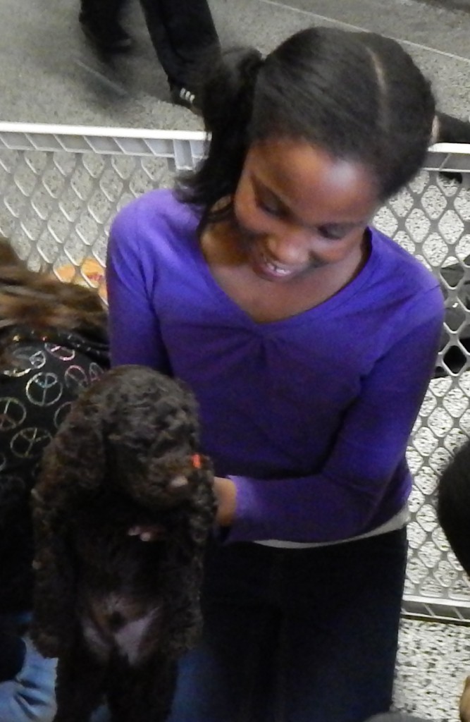 LakeView K-8 Academy