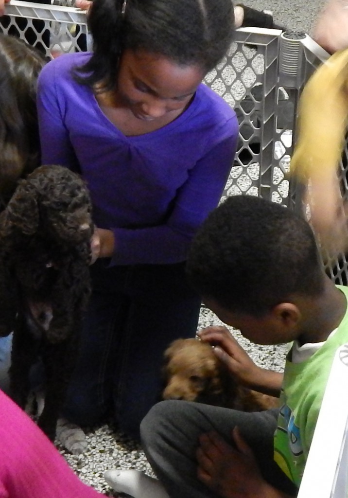 LakeView K-8 Academy