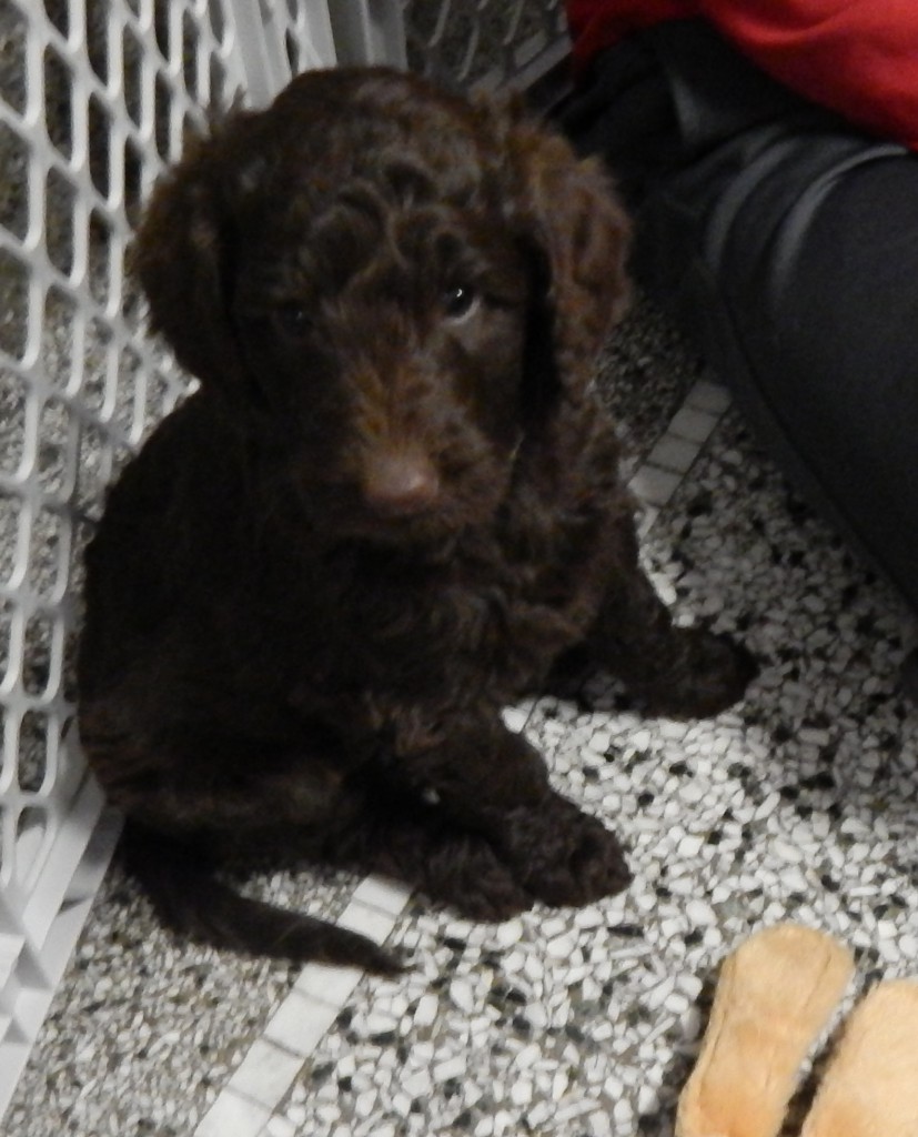 LakeView K-8 Academy