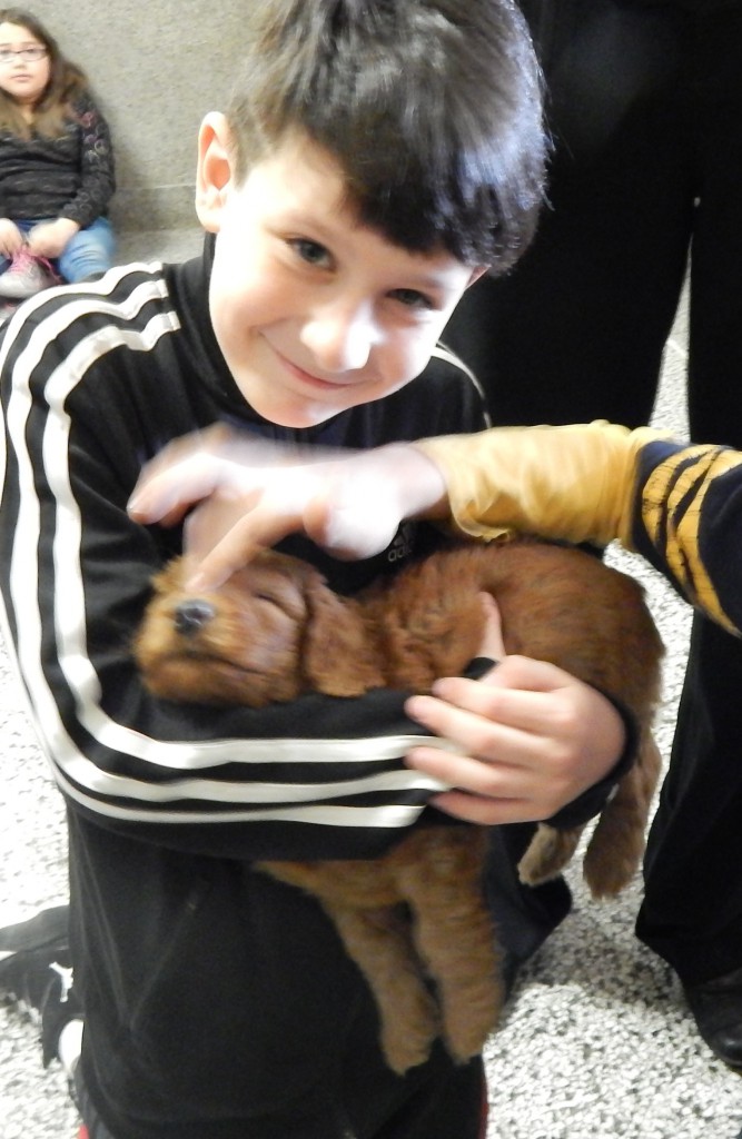 LakeView K-8 Academy