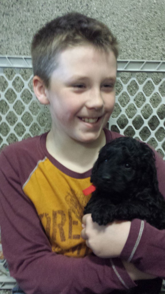 LakeView K-8 Academy