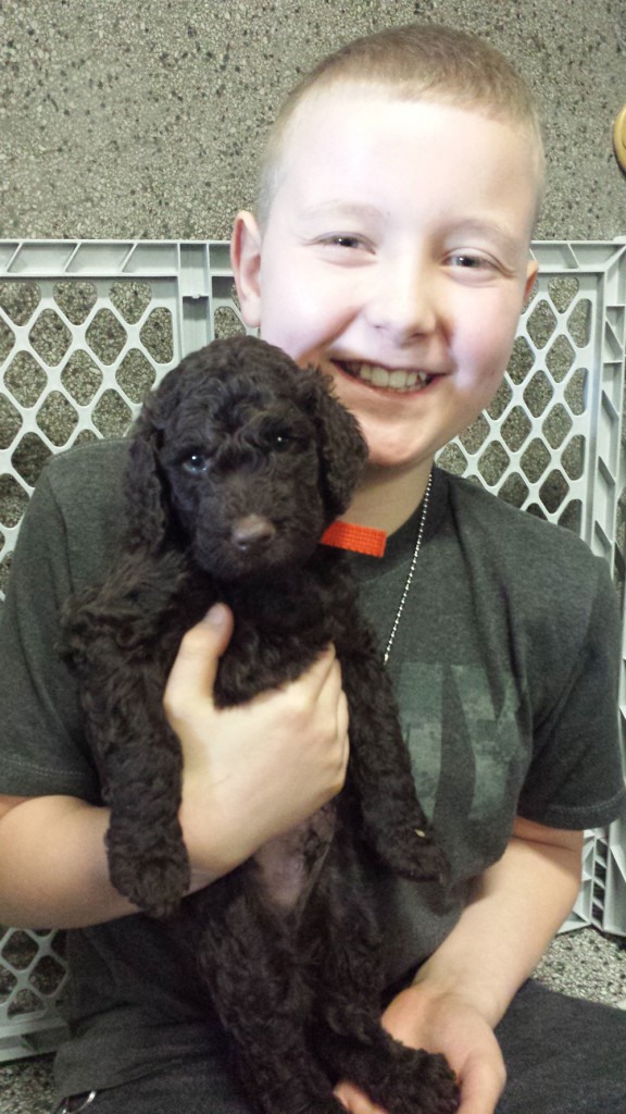 LakeView K-8 Academy