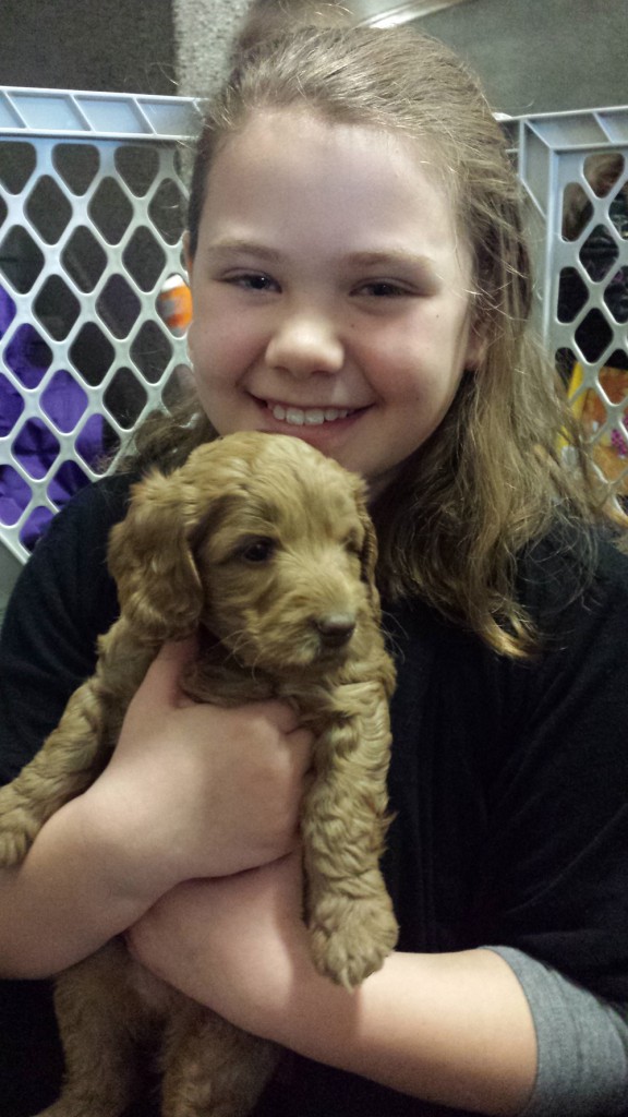 LakeView K-8 Academy