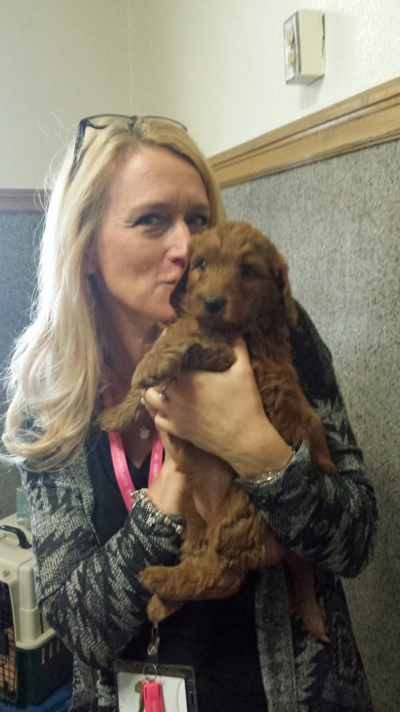 LakeView K-8 Academy