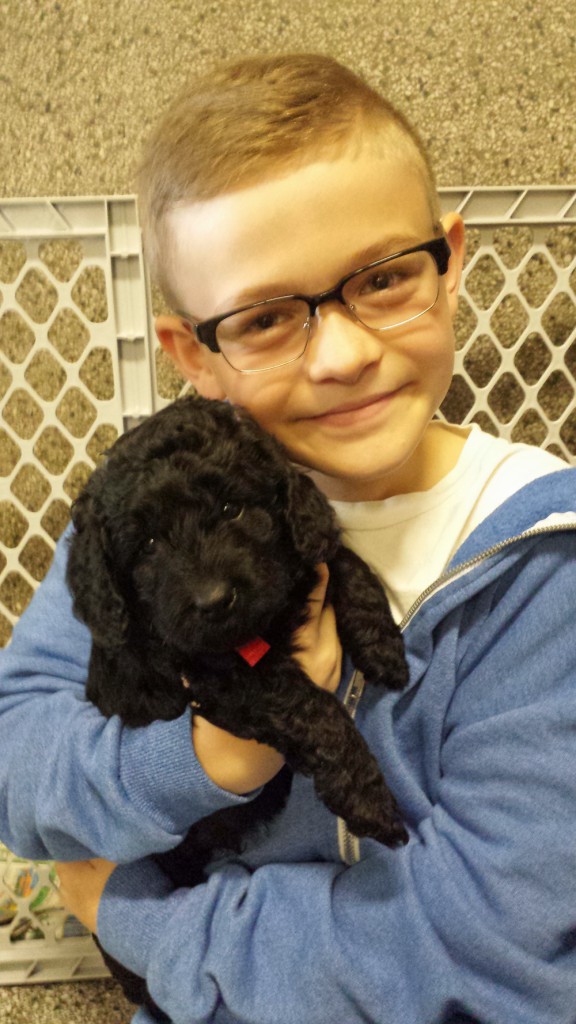 LakeView K-8 Academy