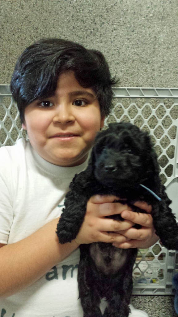 LakeView K-8 Academy