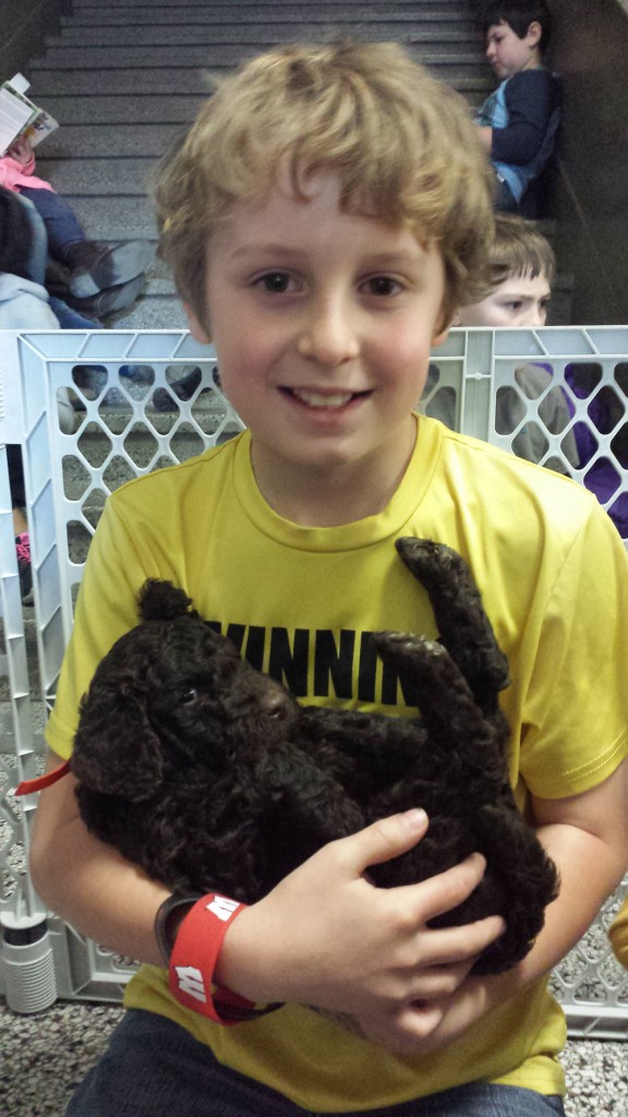 LakeView K-8 Academy