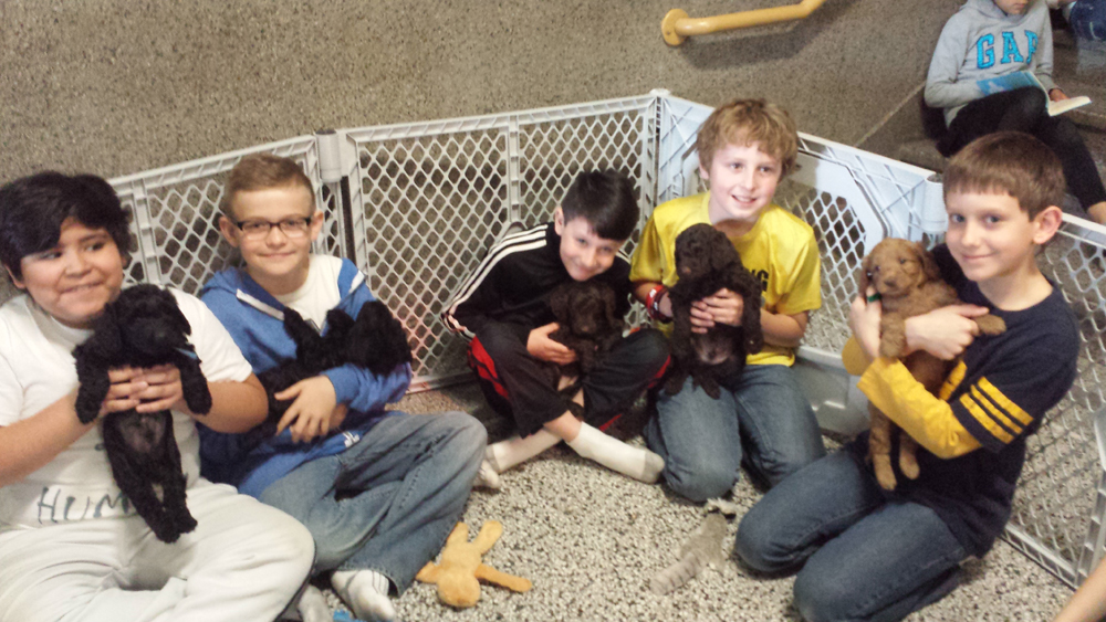 LakeView K-8 Academy