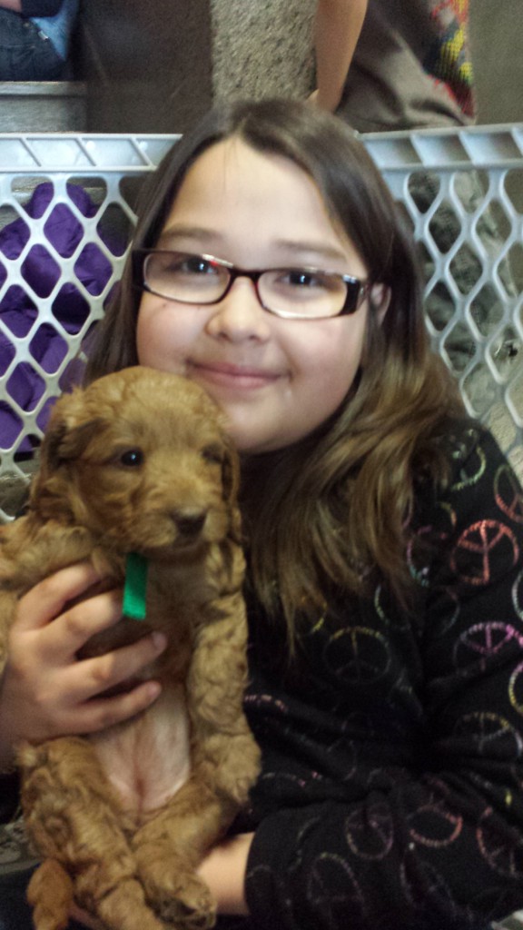 LakeView K-8 Academy