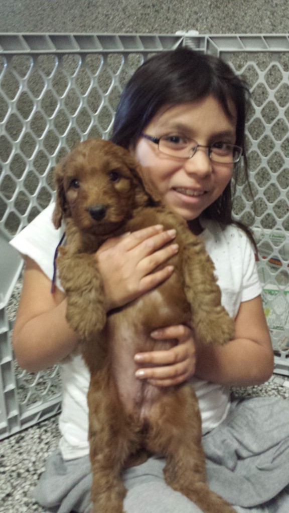 LakeView K-8 Academy