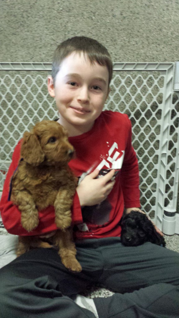 LakeView K-8 Academy