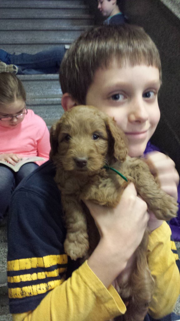 LakeView K-8 Academy