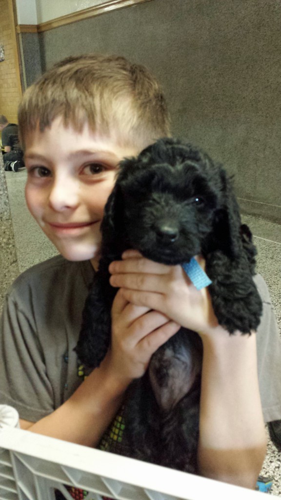 LakeView K-8 Academy