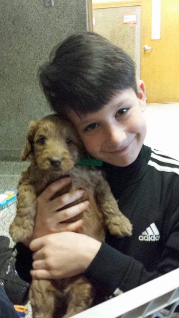 LakeView K-8 Academy