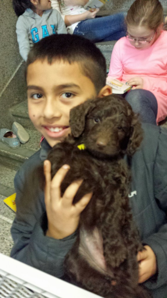 LakeView K-8 Academy