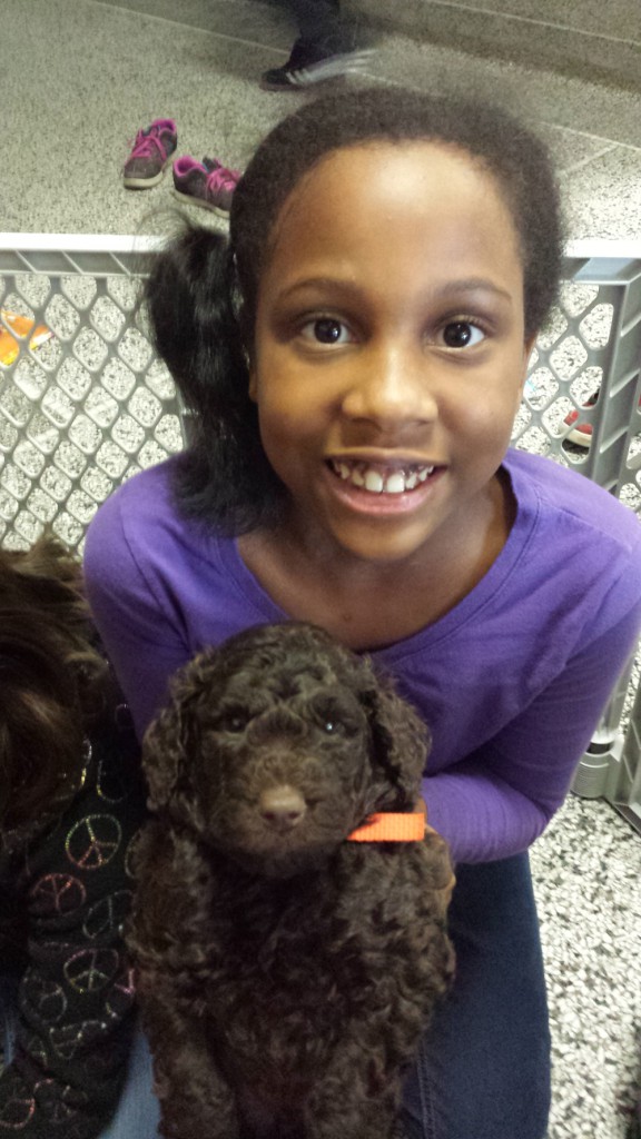 LakeView K-8 Academy