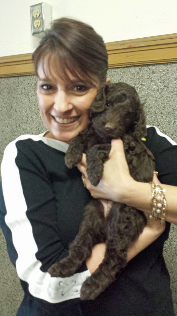 LakeView K-8 Academy