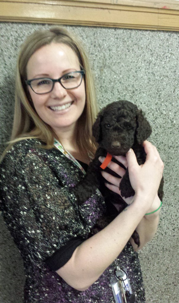 LakeView K-8 Academy