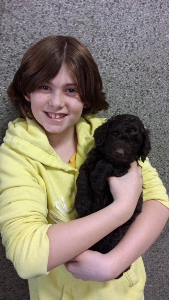 LakeView K-8 Academy