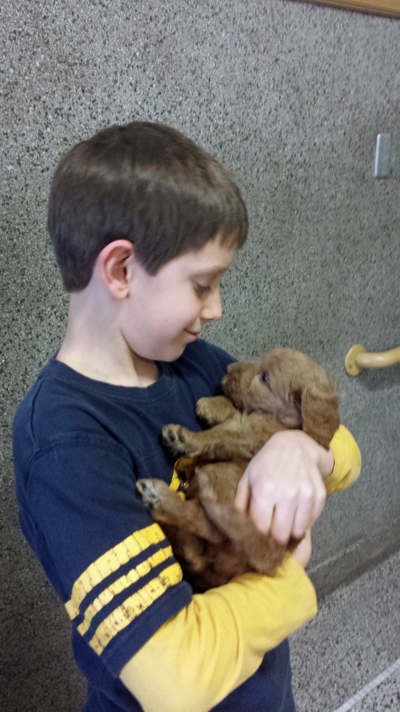 LakeView K-8 Academy