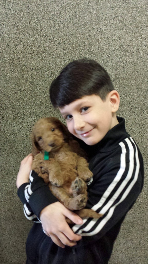 LakeView K-8 Academy