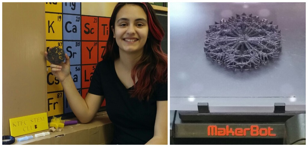 LakeView K-8 Academy