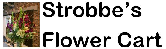 LakeView K-8 Academy