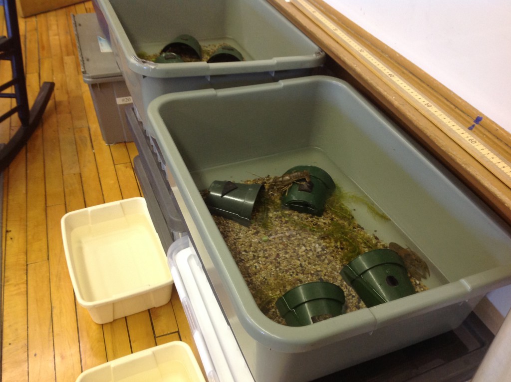 LakeView K-8 Academy