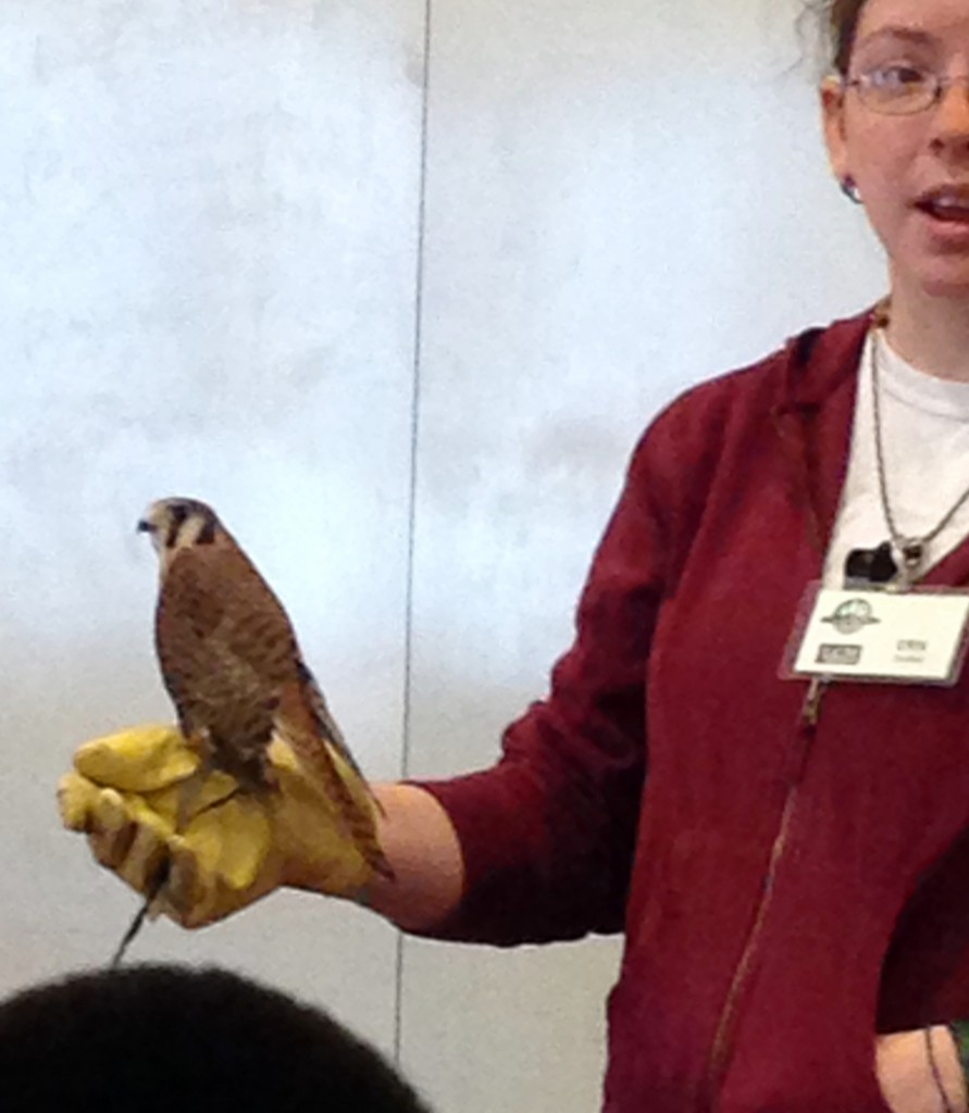 LakeView K-8 Academy