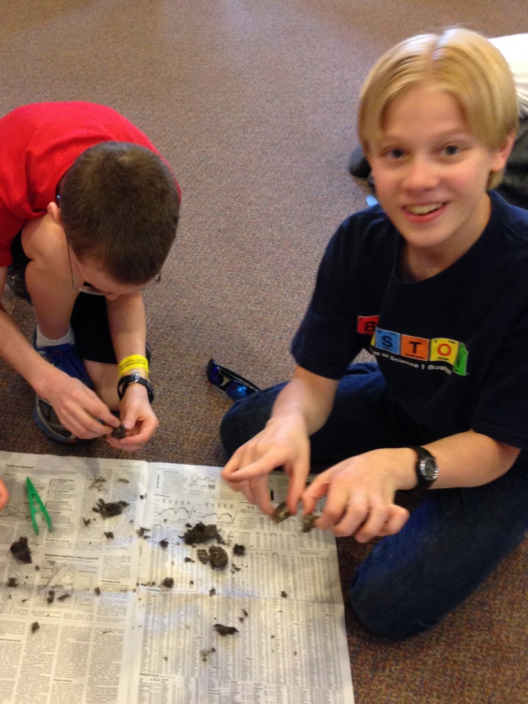 LakeView K-8 Academy