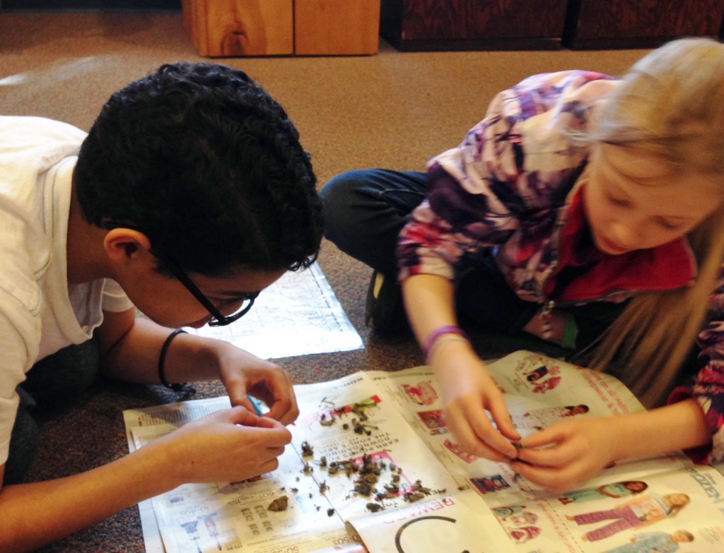 LakeView K-8 Academy