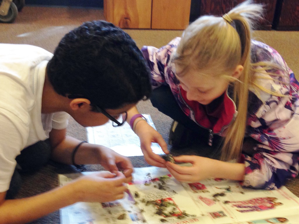 LakeView K-8 Academy