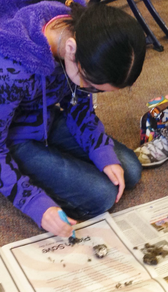 LakeView K-8 Academy