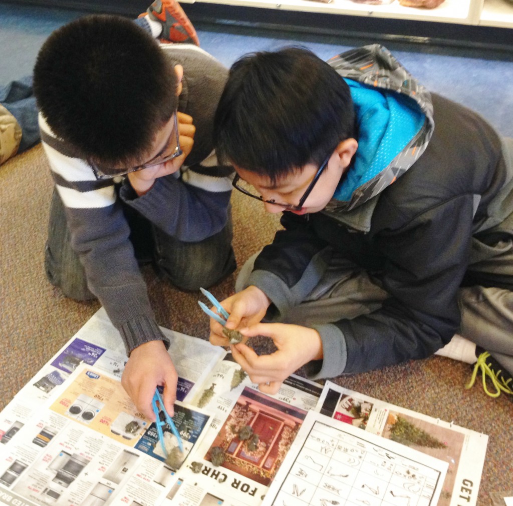 LakeView K-8 Academy