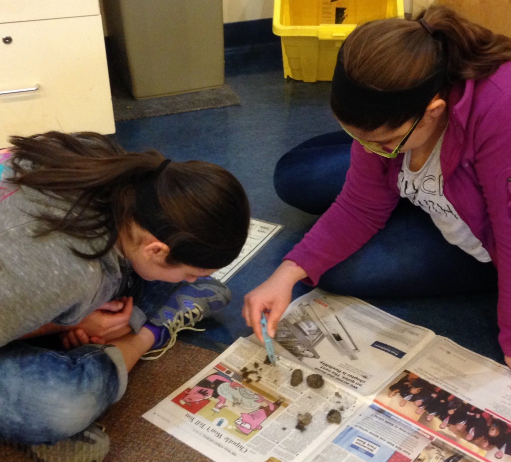 LakeView K-8 Academy