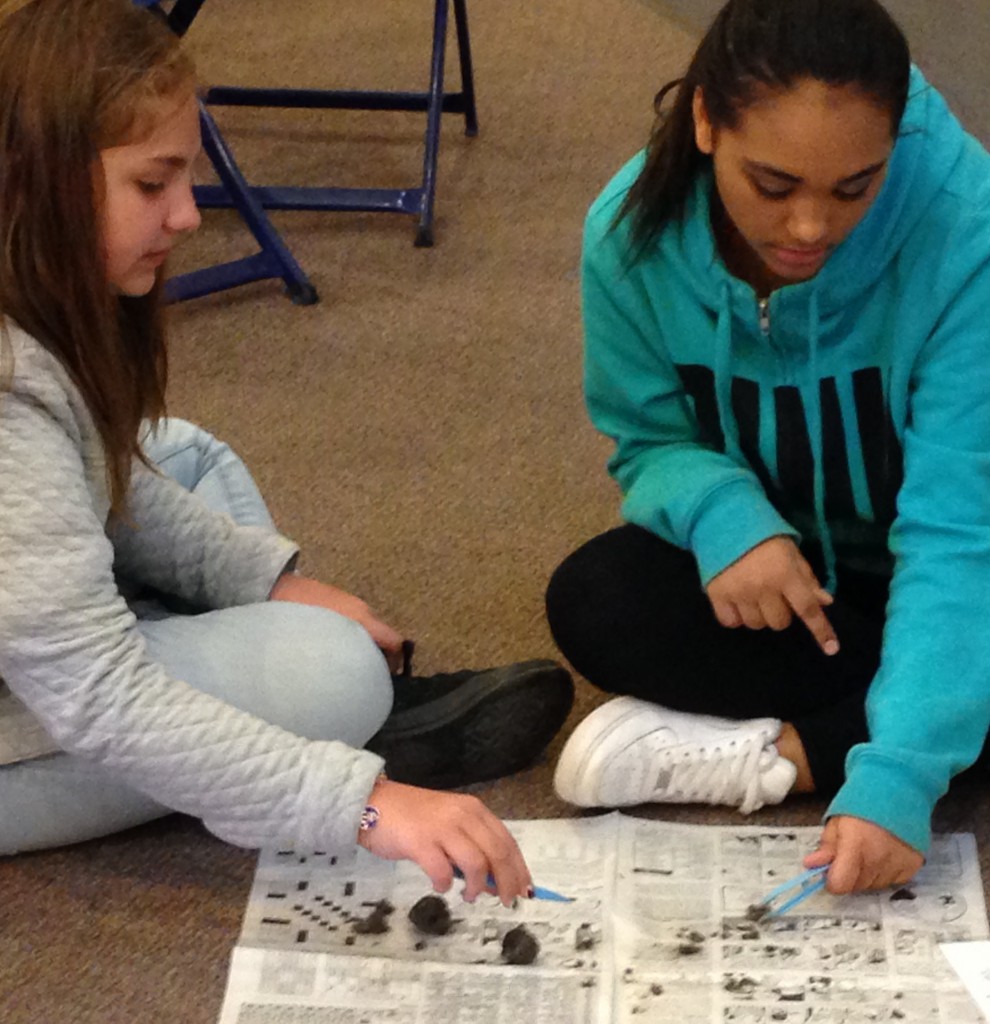 LakeView K-8 Academy