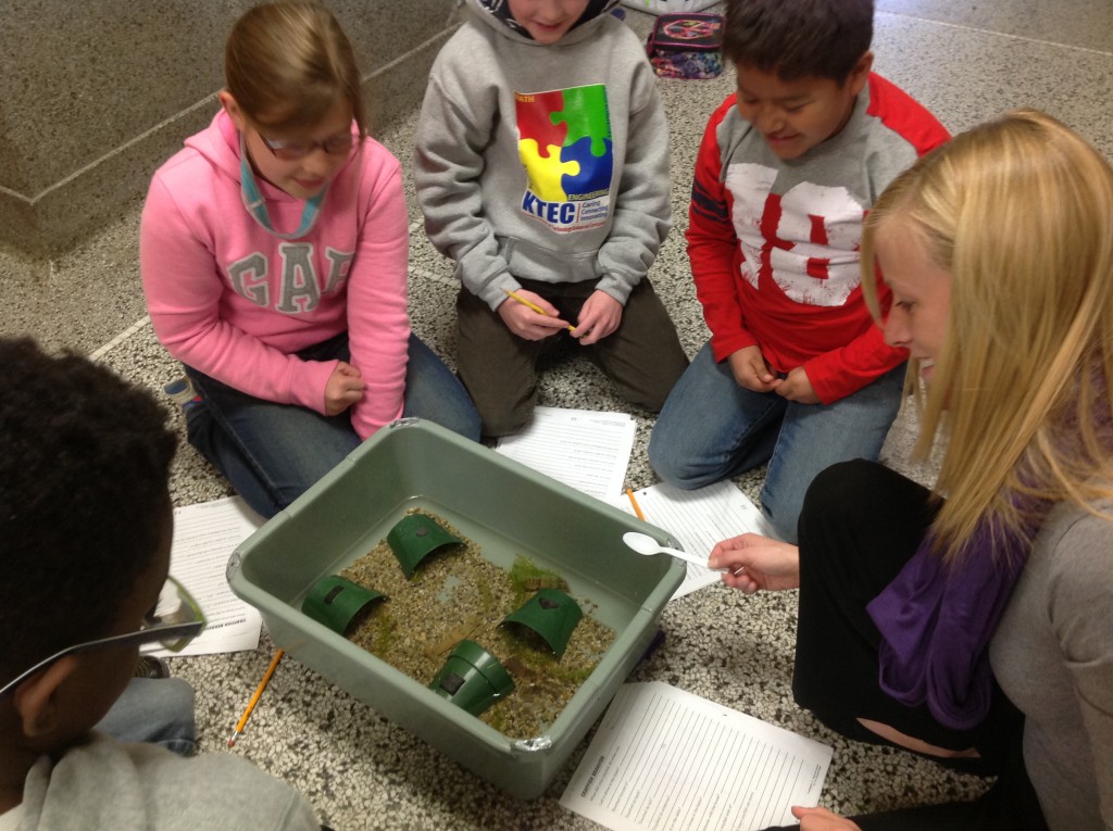 LakeView K-8 Academy