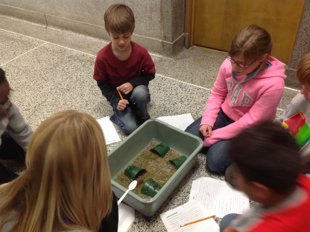 LakeView K-8 Academy