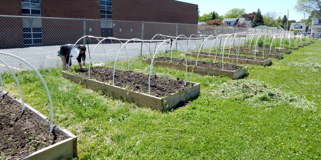 LakeView K-8 Academy