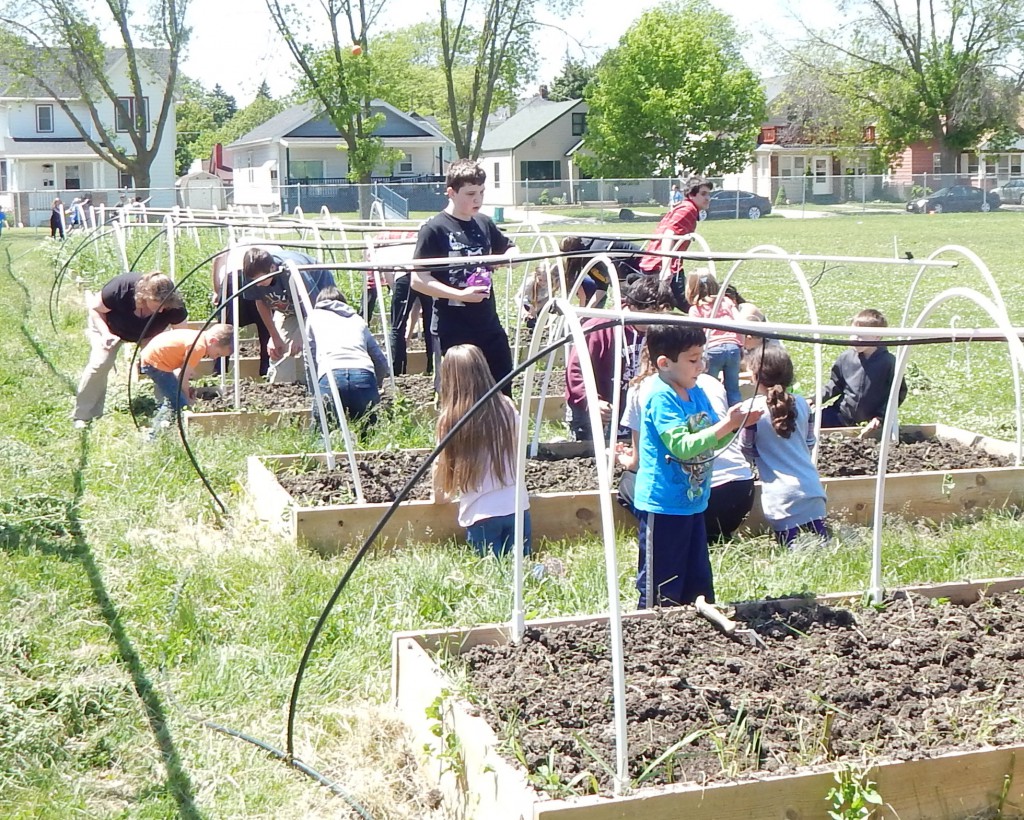 LakeView K-8 Academy