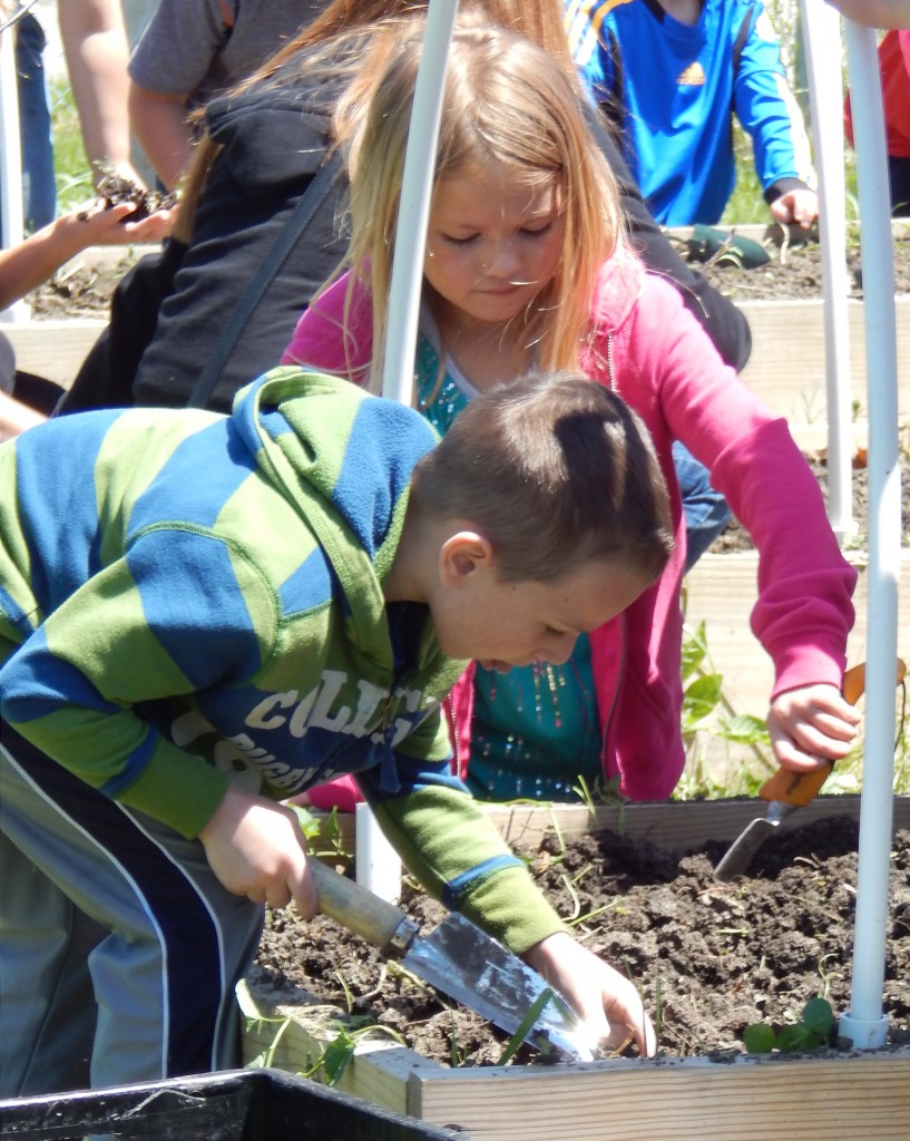 LakeView K-8 Academy