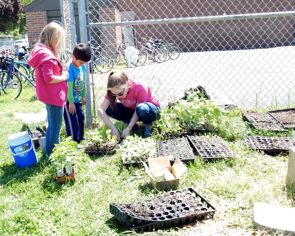 LakeView K-8 Academy