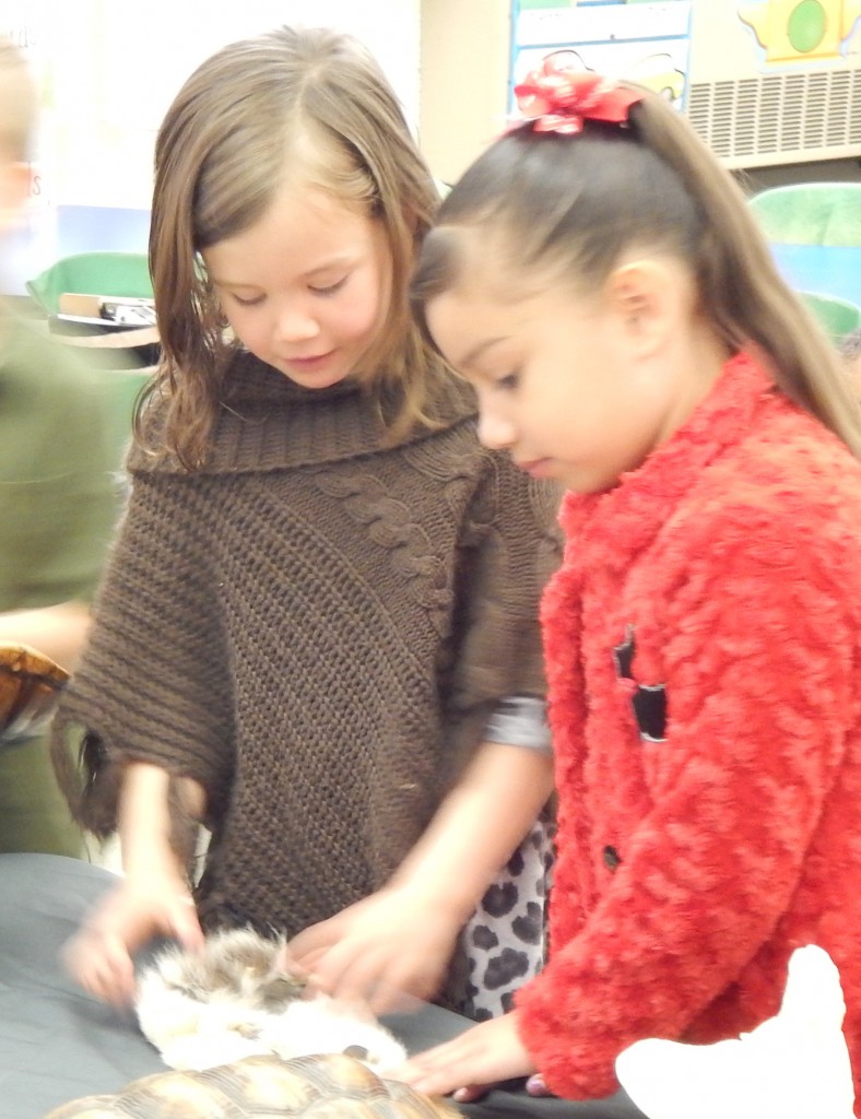 LakeView K-8 Academy