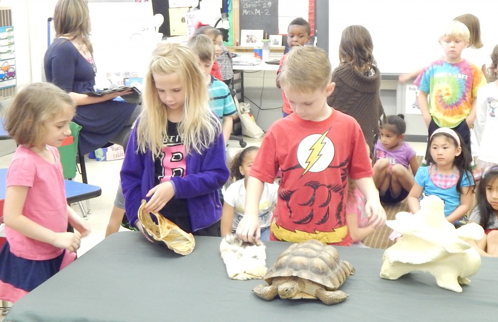 LakeView K-8 Academy