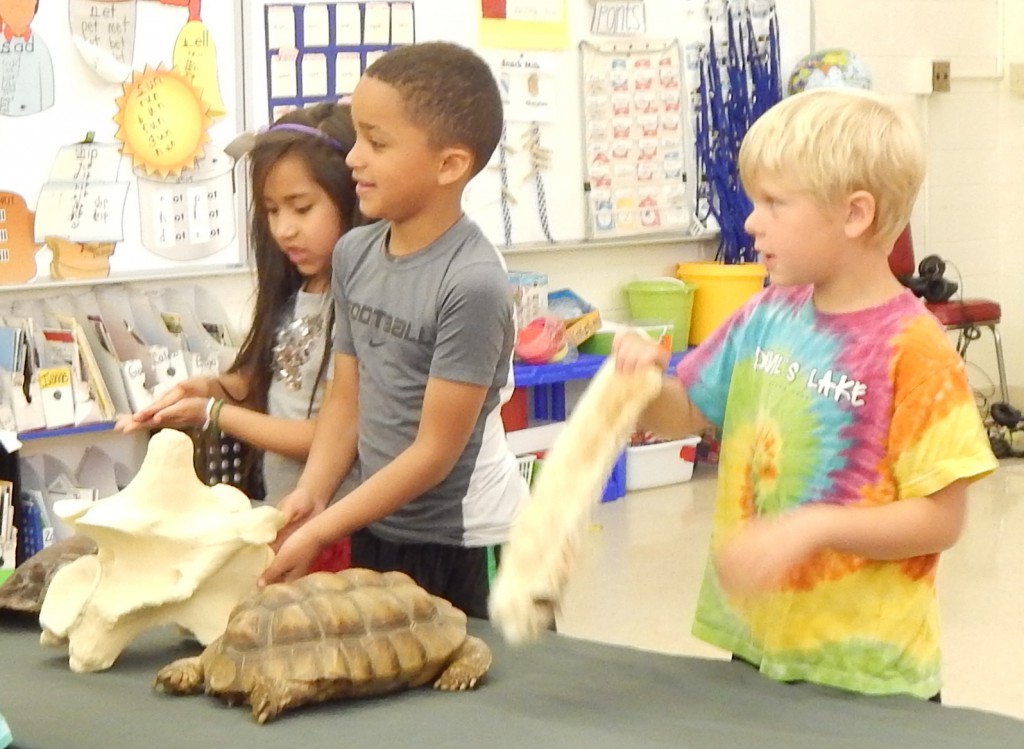LakeView K-8 Academy