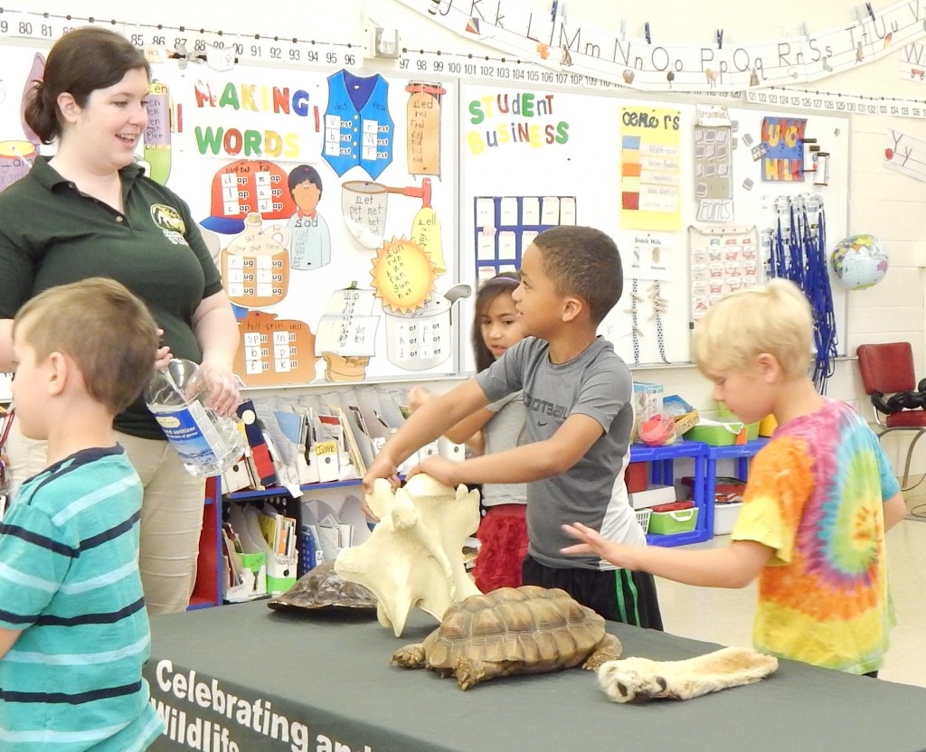 LakeView K-8 Academy