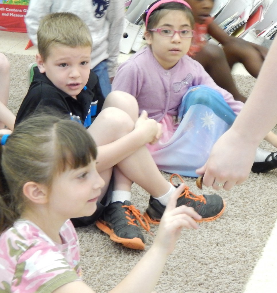 LakeView K-8 Academy