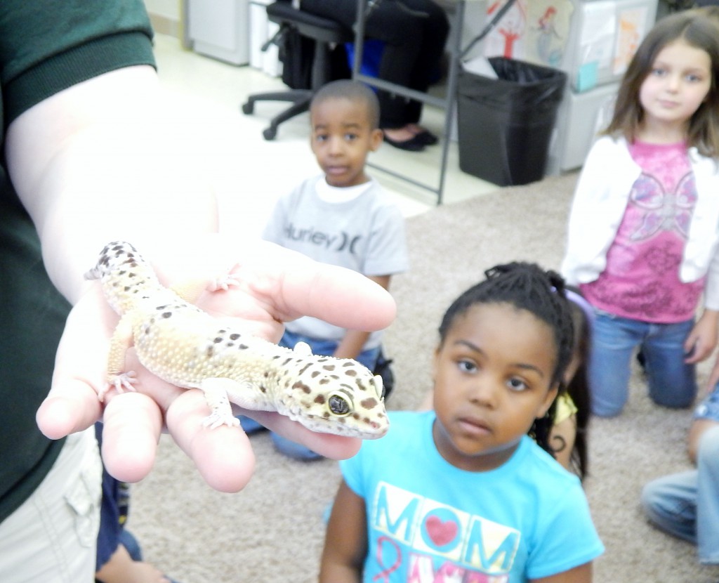 LakeView K-8 Academy