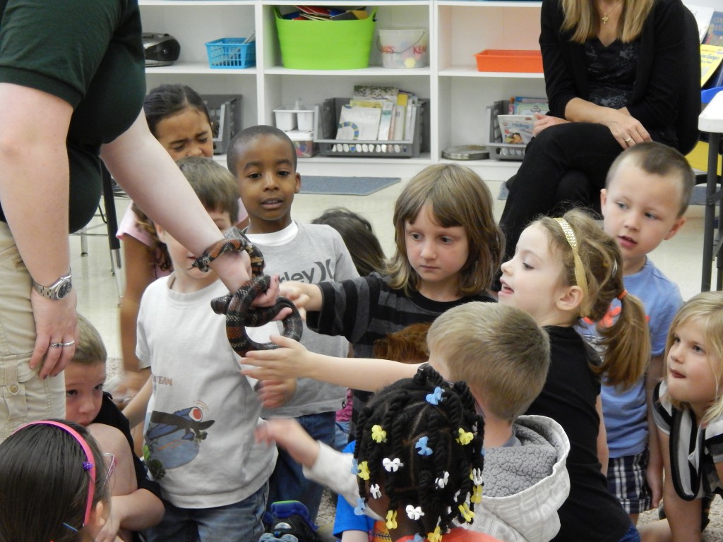LakeView K-8 Academy