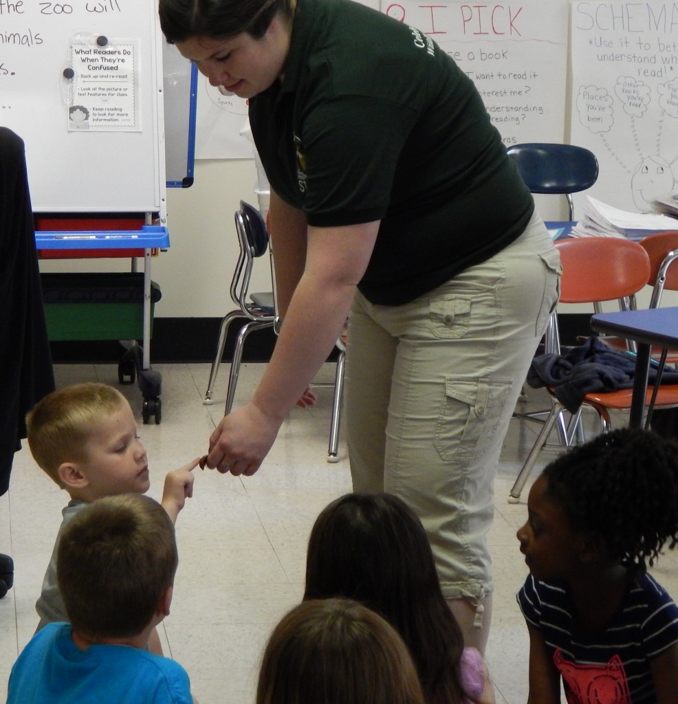 LakeView K-8 Academy